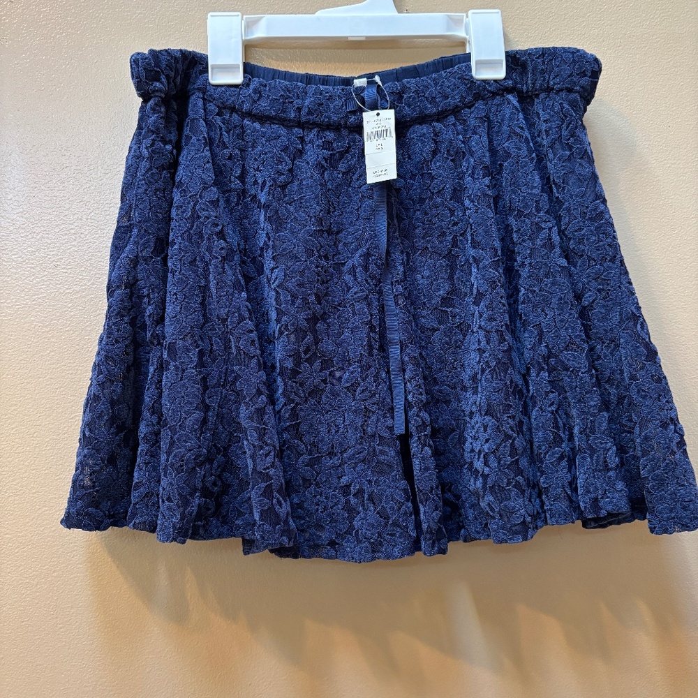 Aerie Lace Godet Lined Navy Mini Skirt Size L NWT - Picture 1 of 9